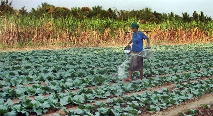Cambogia, acqua contaminata da insetticidi, almeno 10 morti per avvelenamento