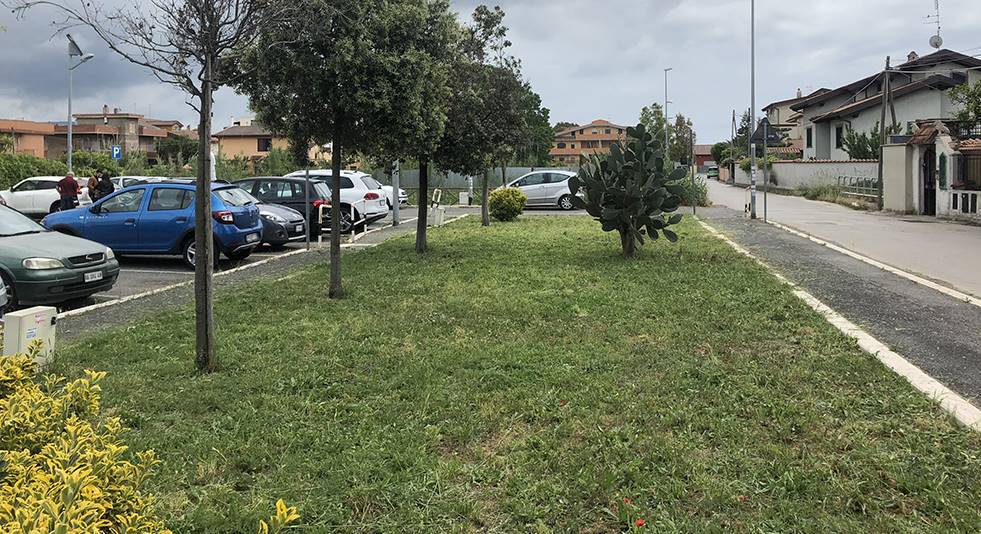 Fiumicino, Chierchia: “Invito cittadini e associazione ad adottare le aree verdi comunali”