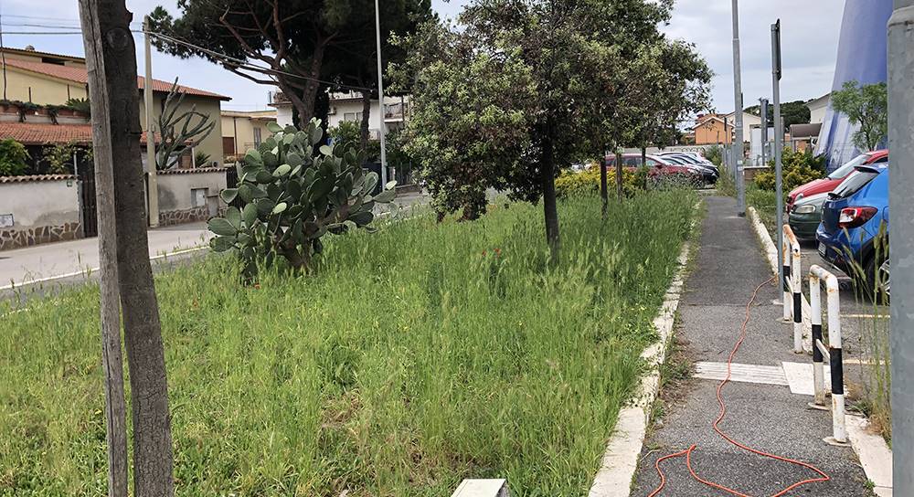 Fiumicino i giovani della Lega ripuliscono le aree verdi di via Lelio Silva