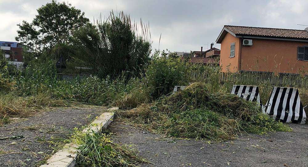 #Fiumicino2018, i giovani della Lega ripuliscono le aree verdi di via Lelio Silva