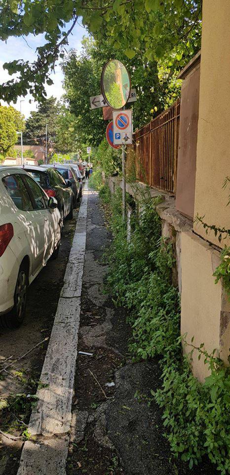 Ostia Antica, pedoni infuriati: “Una foresta sul marciapiedi”