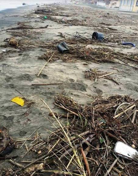 Mare di Ardea, alto il rischio di contrarre malattie infettive. Lo dichiara l’ARPAL