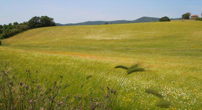 Discarica a Pizzo del Prete, comitati e Istituzioni unite nel dire “no”