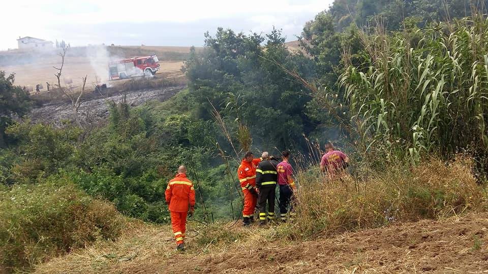 Cerveteri, nella settimana scorsa due incendi a I Terzi, ieri nella zona di Santa Severa Nord