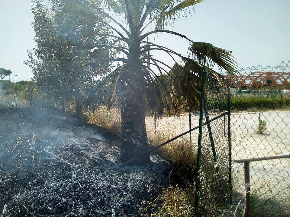 Parco della Madonnetta, ancora un incendio