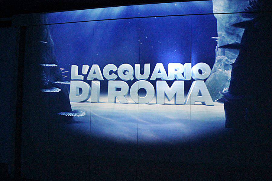 Acquario dell’Eur, Palmieri: “Basta pre-opening, dove sono i pesci?”