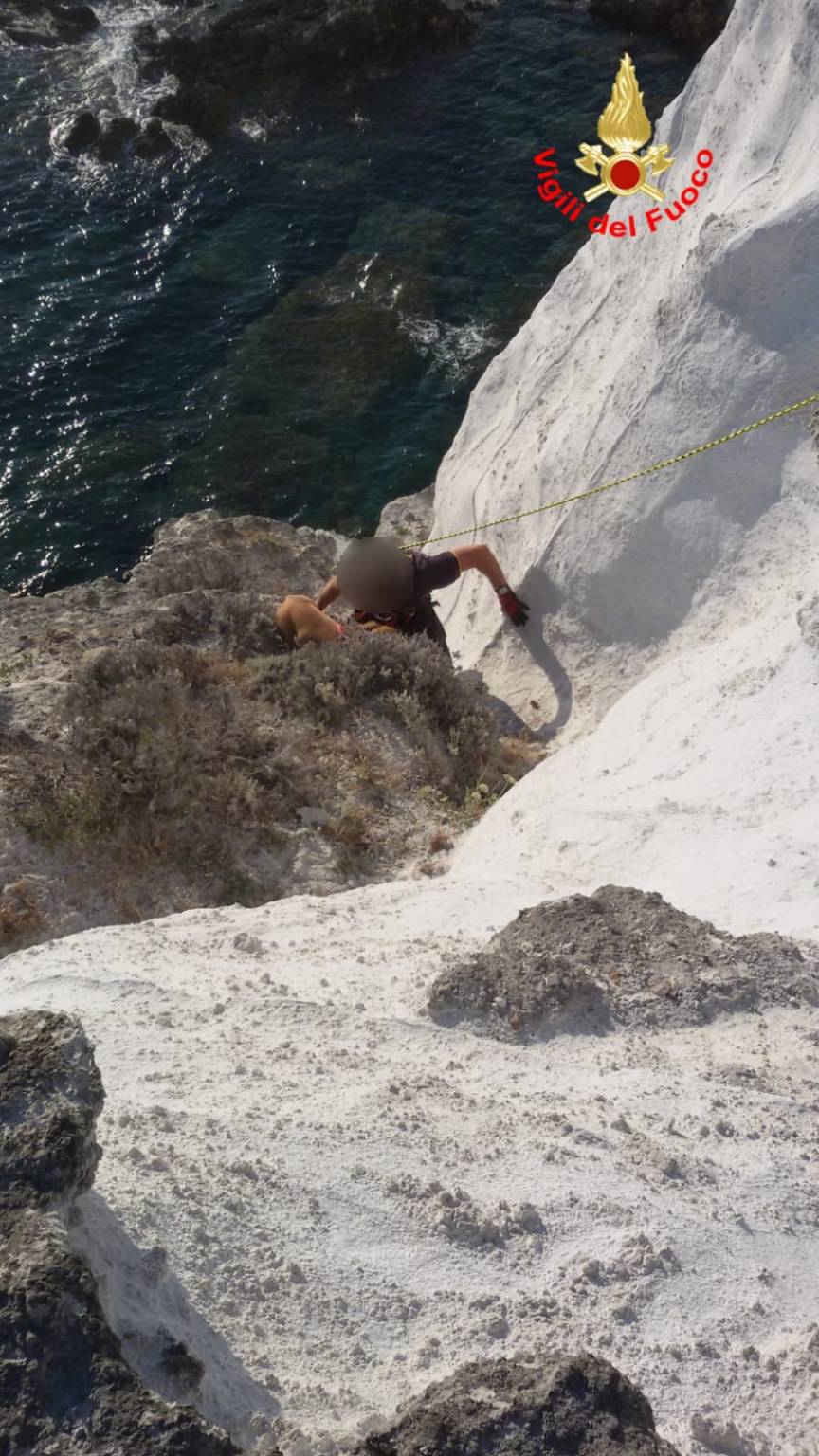 Cane bloccato per ore sulla scogliera a Ponza, intervengono i Vigili del Fuoco