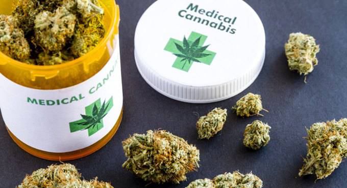 Cannabis terapeutica per il dolore, si può prescrivere per legge