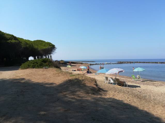 Tarquinia, continua l’opera di controllo della pineta e della spiaggia di San Giorgio