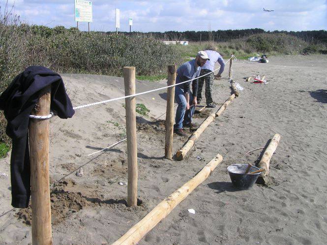 Focene, la duna scompare, ecco il progetto per salvarla