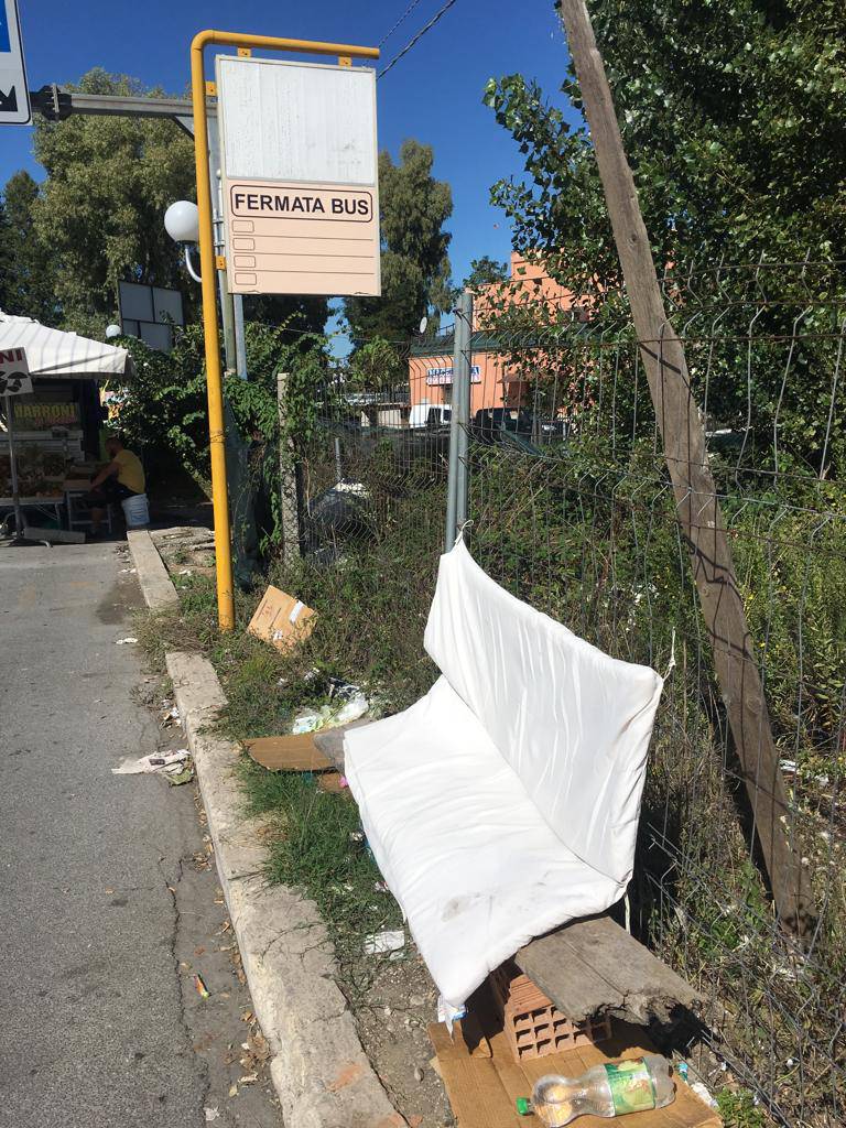 Latina, bando sul trasporto urbano, Marchiella: “Dove sono le pensiline?”