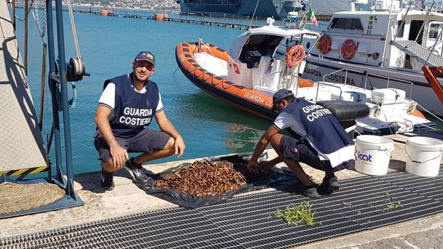 Trovato con 40 chili di datteri di mare, pescatore di frodo bloccato dalla Guardia costiera