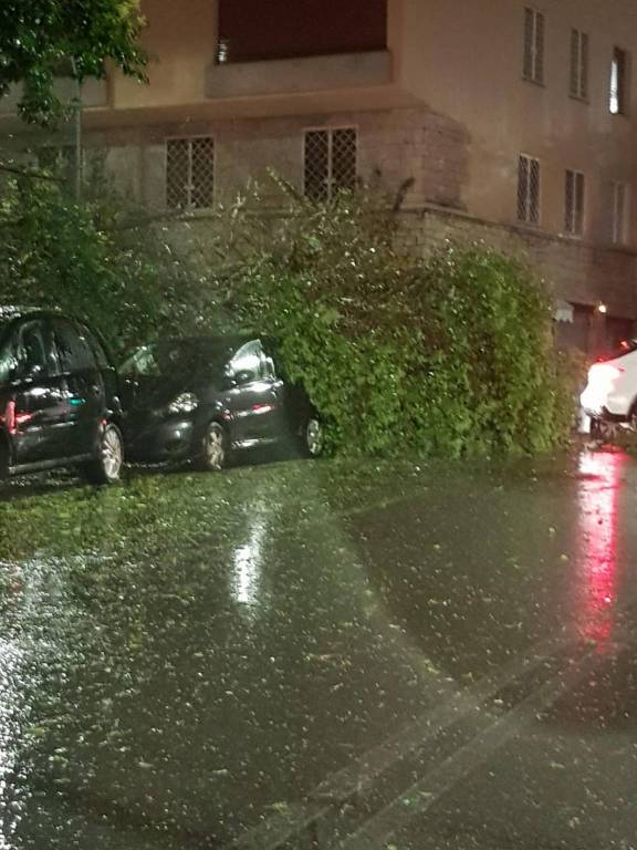 Nubifragio a Roma, allertamento Protezione civile su alberate e fascia costiera