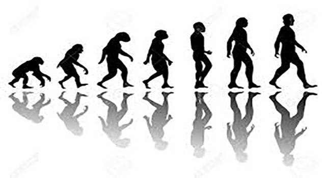 Evoluzione Umana