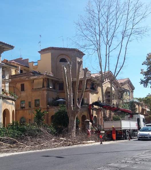 Acilia e Ostia, abbattimento di alberi: settimana di passione per gli automobilisti