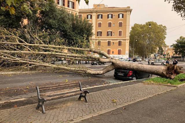 Il maltempo flagella la Capitale, 250 gli interventi per rami o alberi caduti a Roma