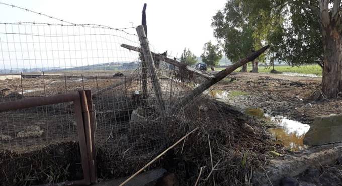 Maltempo, Coldiretti: “Gravi i danni per l’agricoltura da Pomezia a Nettuno”