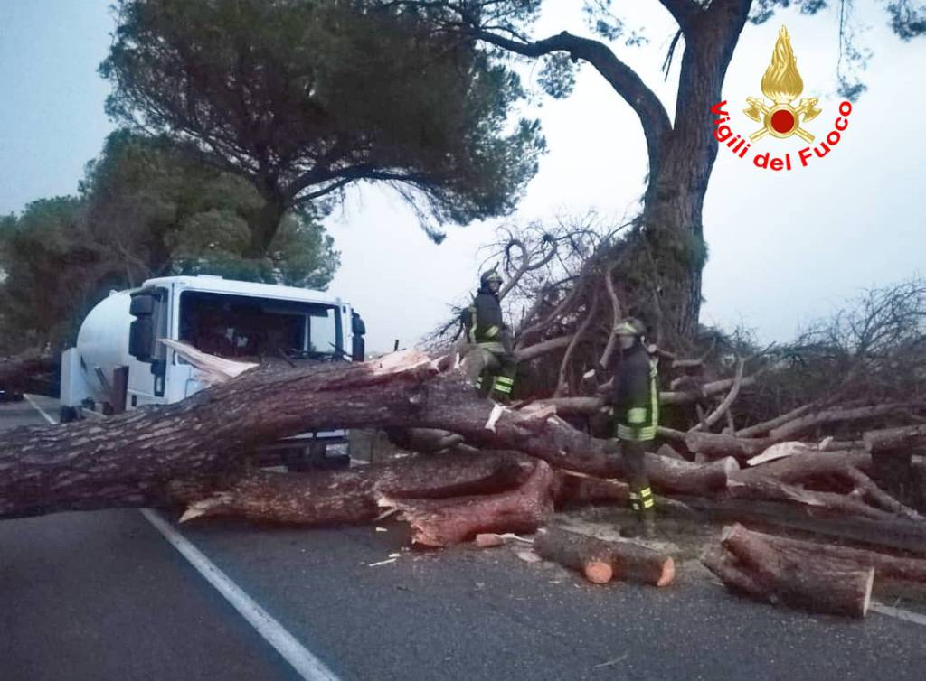 Maltempo a Terracina, cade un albero: un morto e un ferito grave