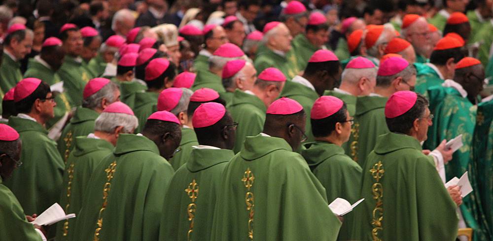 Il Papa trasferisce ai Vescovi alcune competenze della Santa Sede