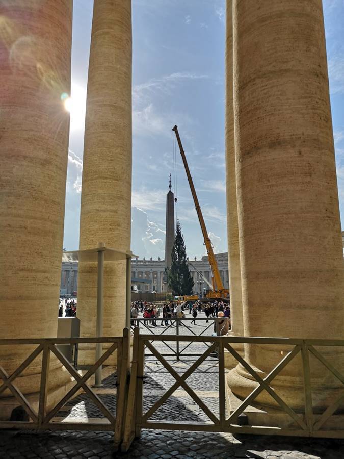 Vaticano, in piazza San Pietro il Natale è work in progress