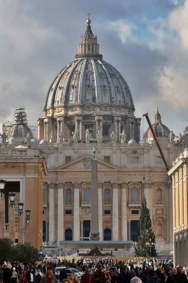 Vaticano, in piazza San Pietro il Natale è work in progress
