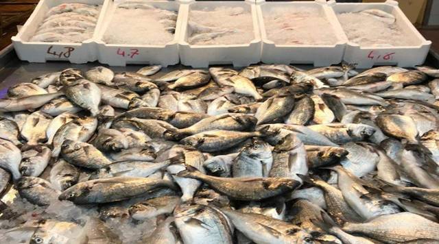 Maltempo a Gaeta, rotte almeno 15 gabbie degli allevamenti ittici
