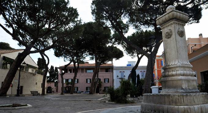 Santa Marinella, una raccolta fondi per l’indagine strumentale sui pini di piazza Trieste.