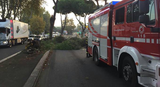 Maltempo, Califano: “Il Lazio colpito da calamità naturale, il Governo si muova”