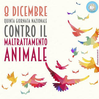 8 dicembre, giornata contro il maltrattamento degli animali d’affezione