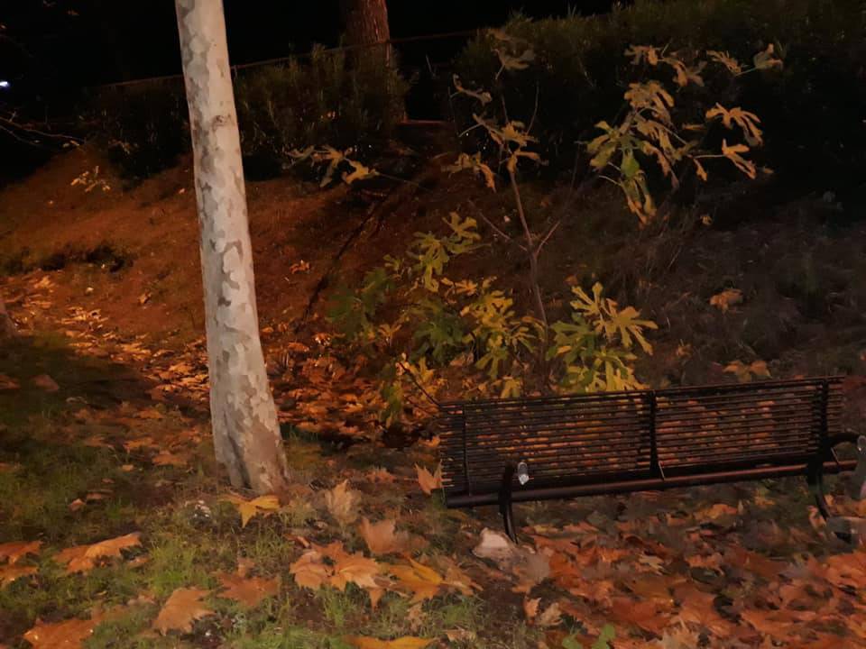 Formia, divelte le panchine della pineta di Mola