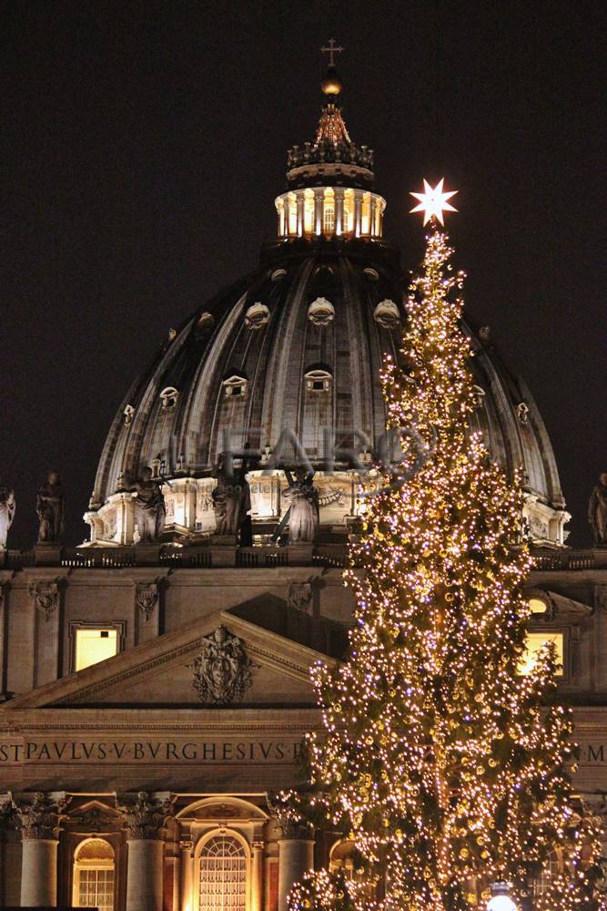 In piazza San Pietro è già Natale: inaugurato l&#8217;albero e il presepe