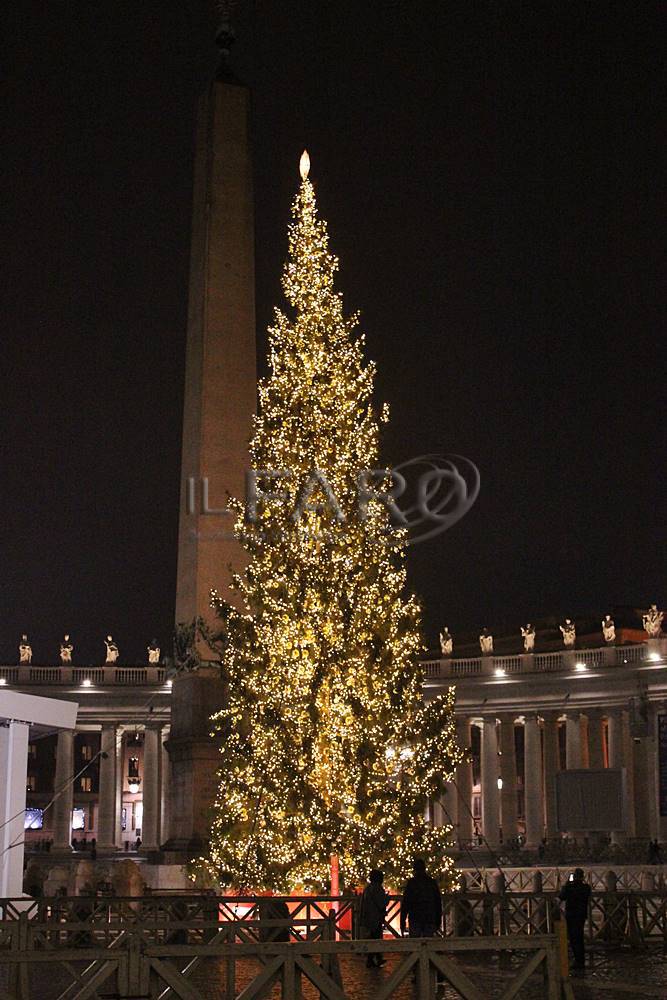 In piazza San Pietro è già Natale: inaugurato l&#8217;albero e il presepe