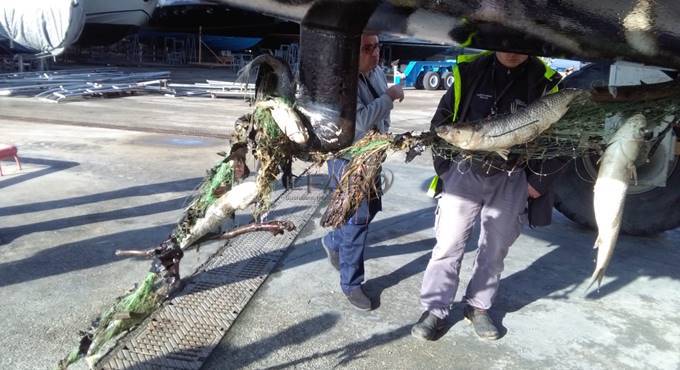 Fiumicino, barche a vela bloccate dalle reti dei pescatori abusivi