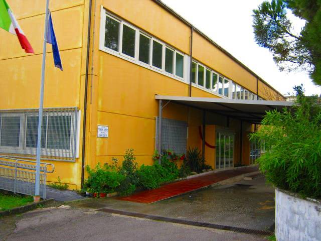 Topi in una scuola elementare di Calegna, disposta la chiusura dell’istituto