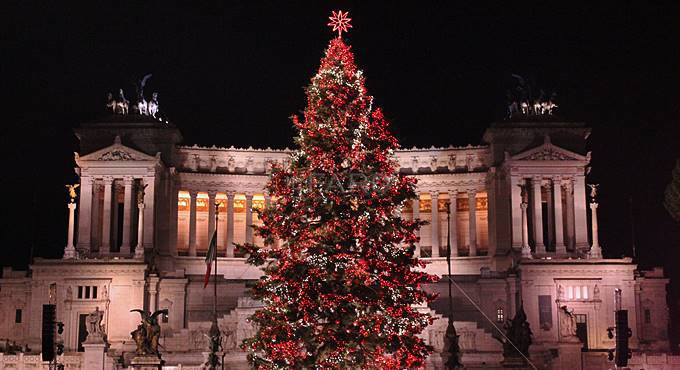 Roma cerca il nuovo “Spelacchio”: online l’avviso pubblico per l’albero di Natale