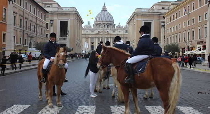 Mucche, asini e cavalli in piazza San Pietro per la benedizione degli animali