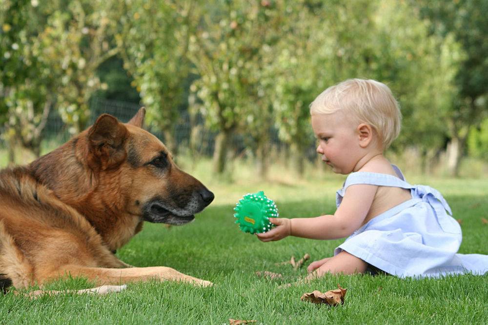 Pet-Terapy: “Il nostro cane quale facilitatore della comunicazione per il benessere Familiare”
