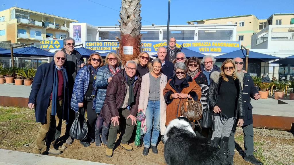 Terracina, dagli “amici del Bar Milano” una palma per la ricostruzione dopo il tornado