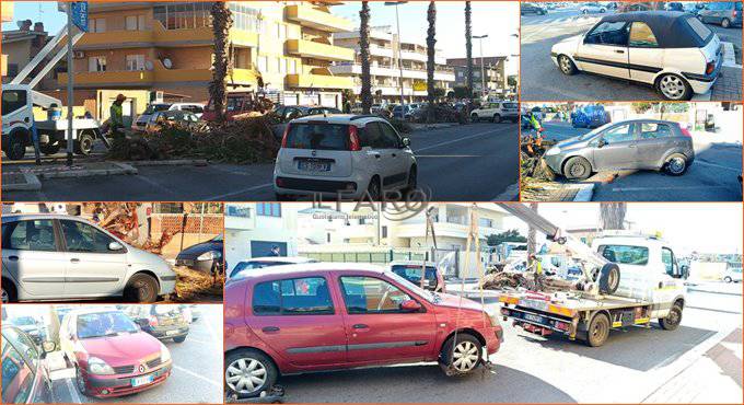 Viale delle Meduse a Fiumicino: multe, auto abbandonate e potature