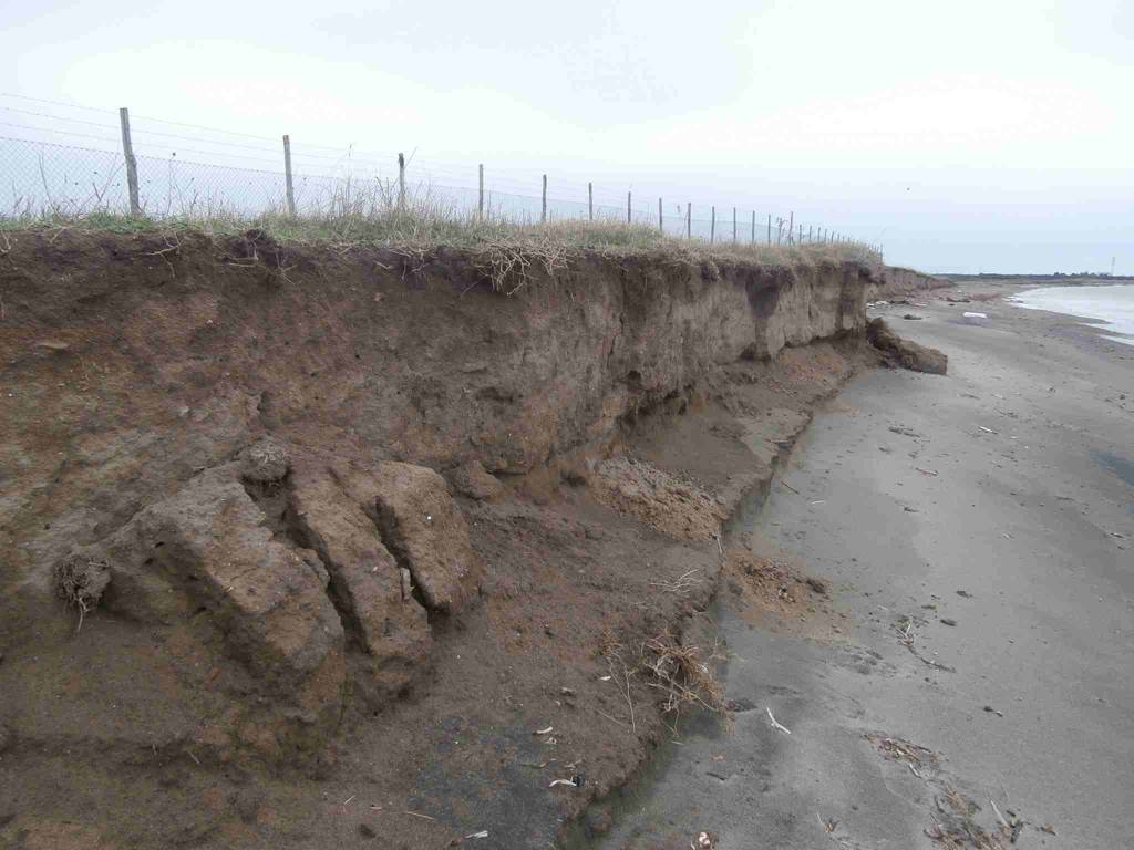 Erosione costiera, Blasi: “Per Tarquinia pochi fondi e tempi incerti”