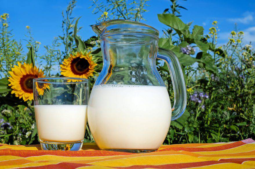 Giornata Mondiale del latte 2021: perché si celebra il 1° giugno