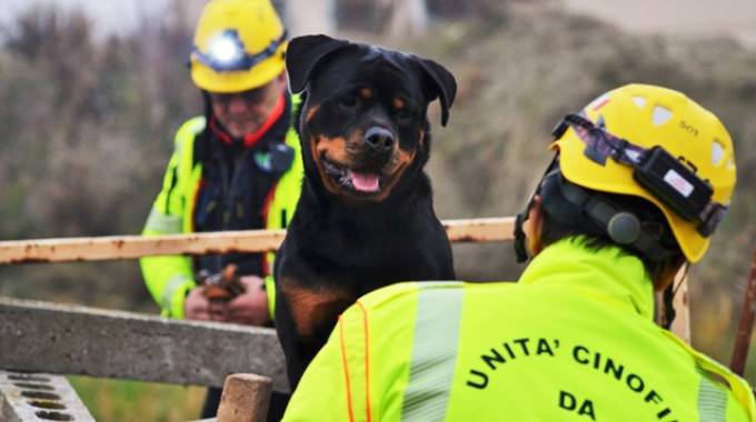 I cani eroi, torna a Roma il “Trofeo Ricerca su Macerie Trainer-Csen”