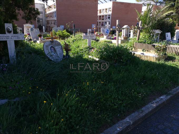 Degrado cimitero Palidoro marzo 2019