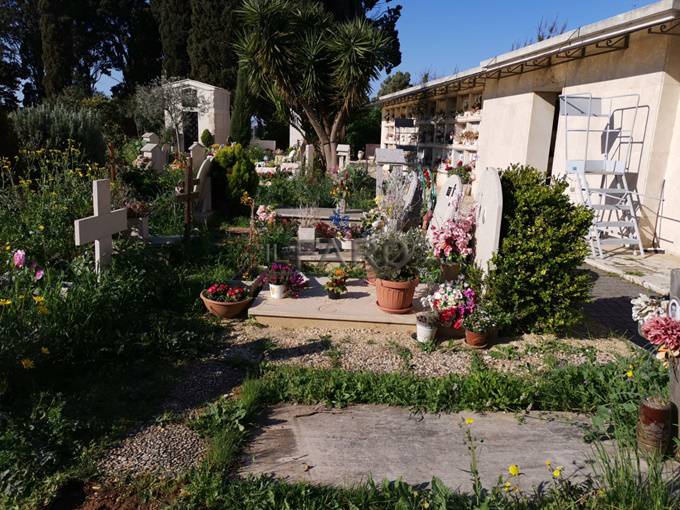 Degrado cimitero Palidoro marzo 2019