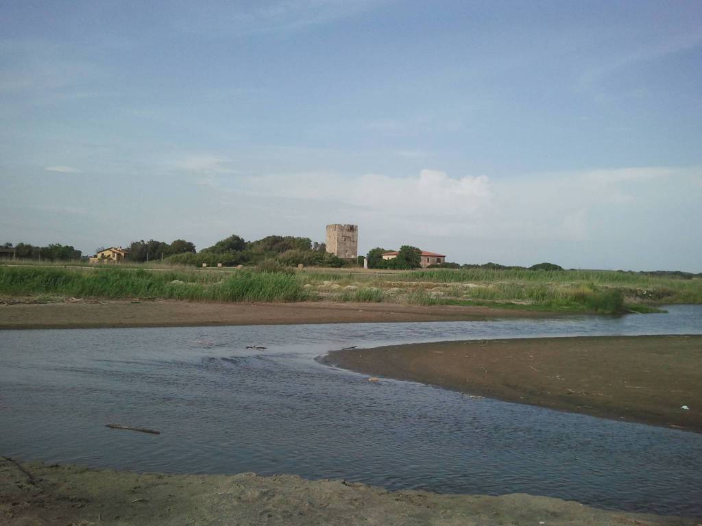 duna e torre palidoro