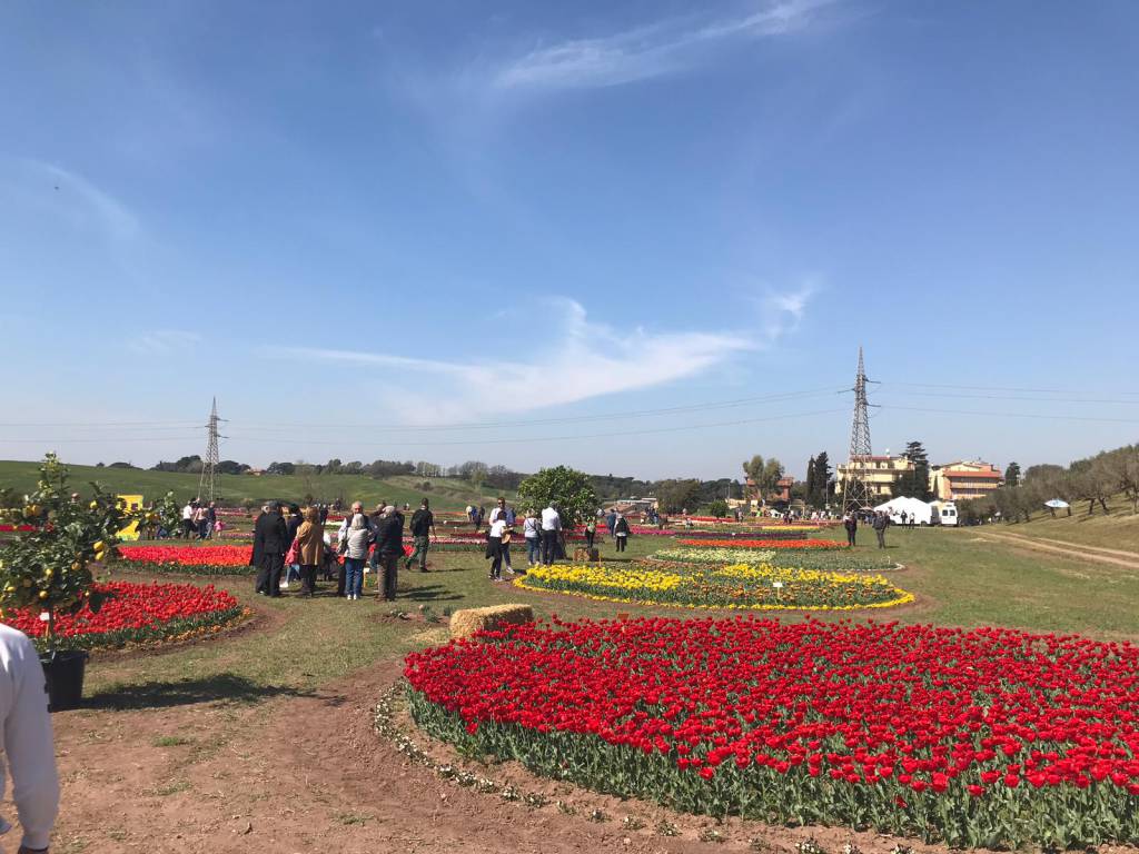 Roma Flowers Park, Calicchio e Calciolari: “La seconda edizione a Fiumicino”