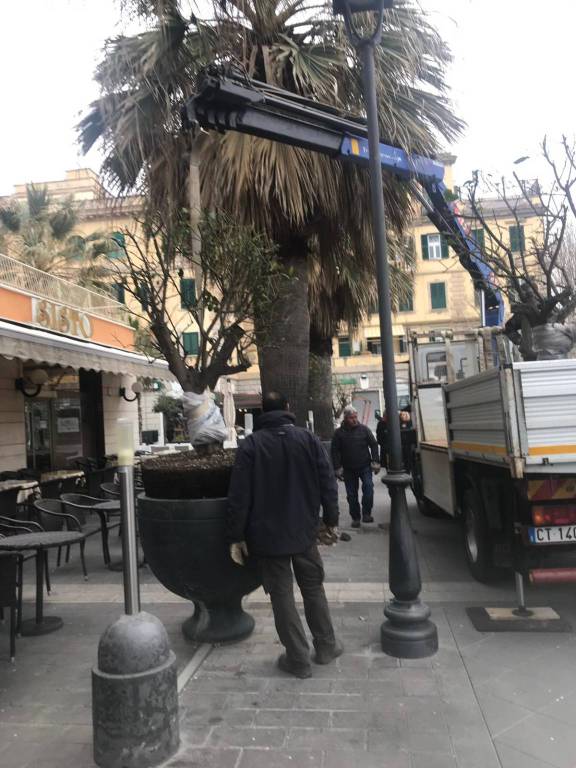 Ostia, Bar Sisto: iniziata la rimozione del verde