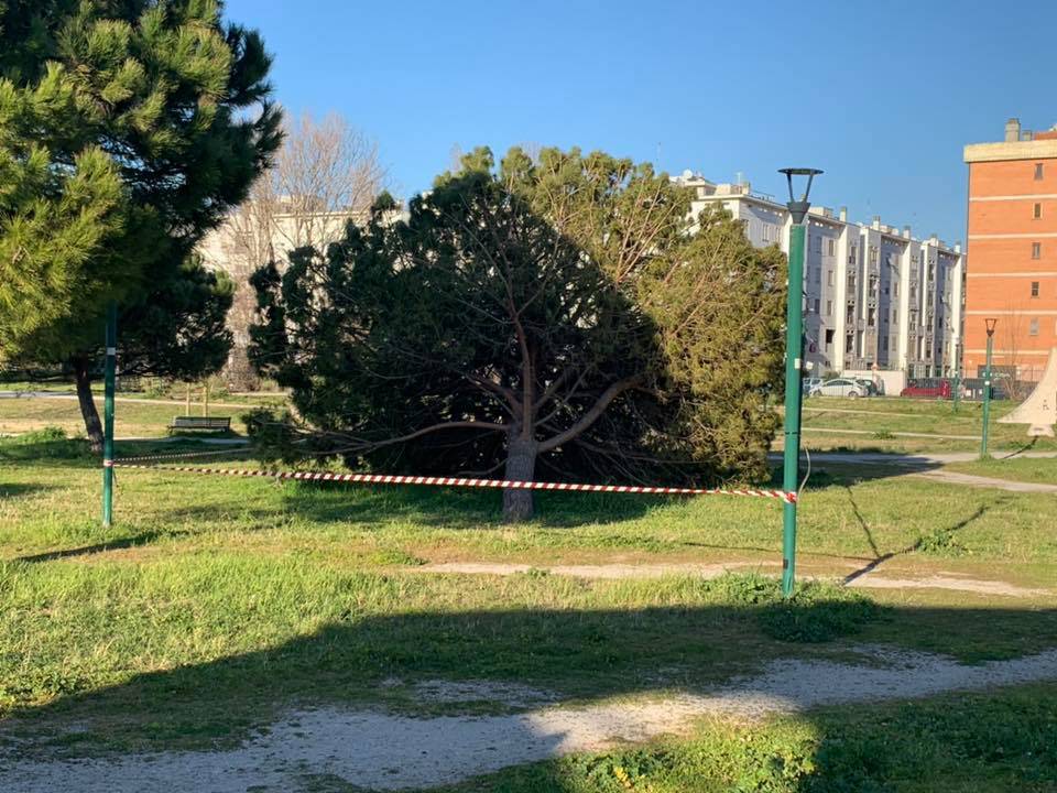 Ostia, Parco Pallotta pericoloso: il carnevale migra a via Carabelli