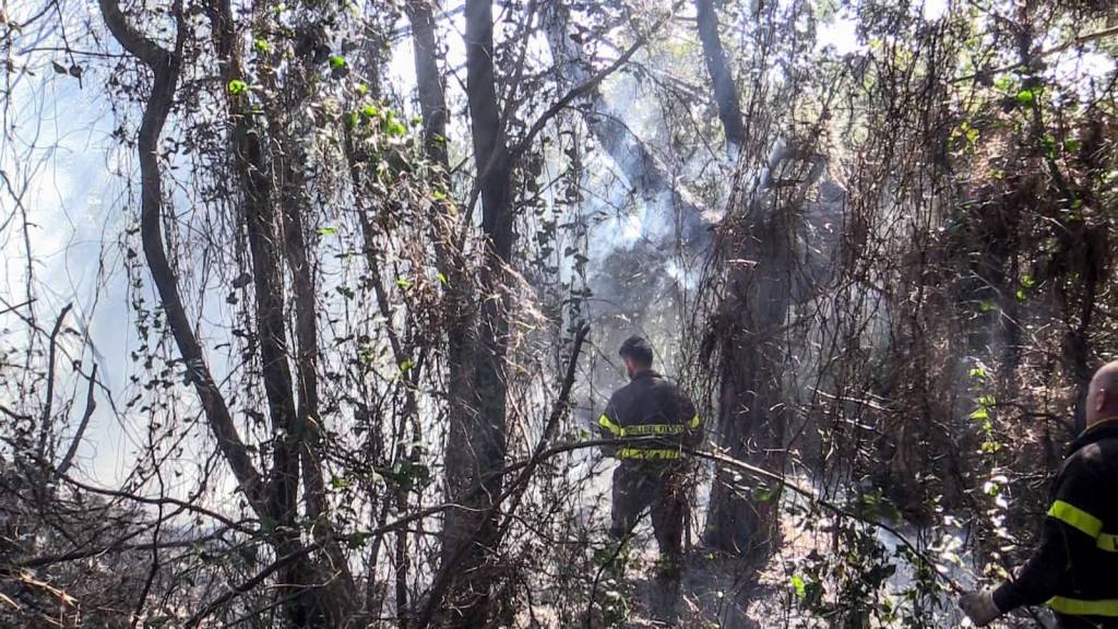 Ostia, incendio in pineta: inizia la stagione dei roghi