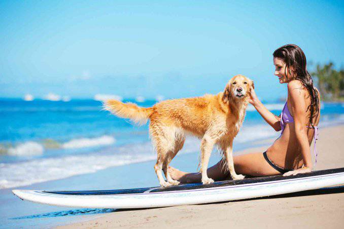 Latina, divieto di accesso degli animali alle spiagge: il Tar annulla l’ordinanza comunale